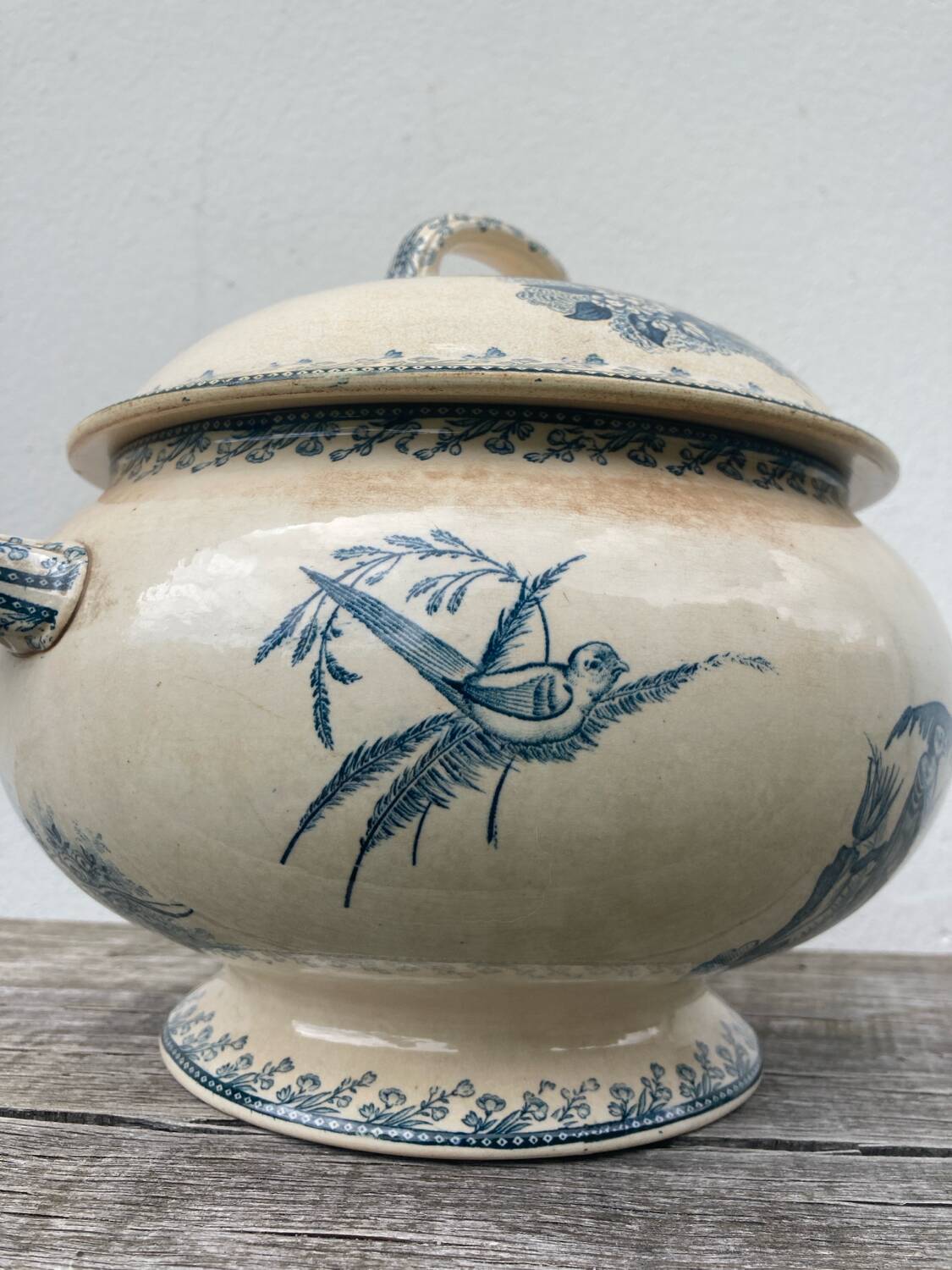 Earthenware tureen tureen Pexonne birds