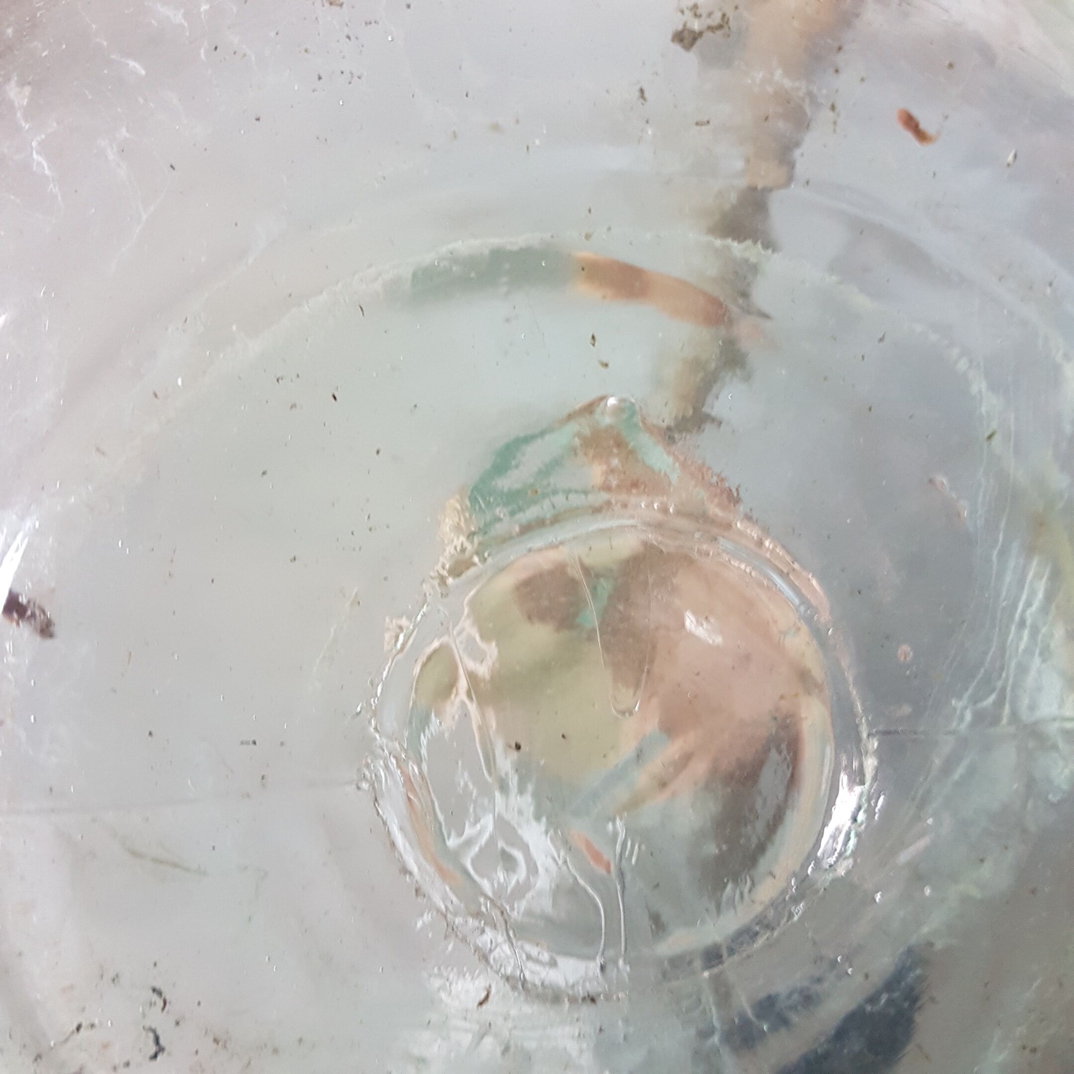 Demijohn 5l transparent