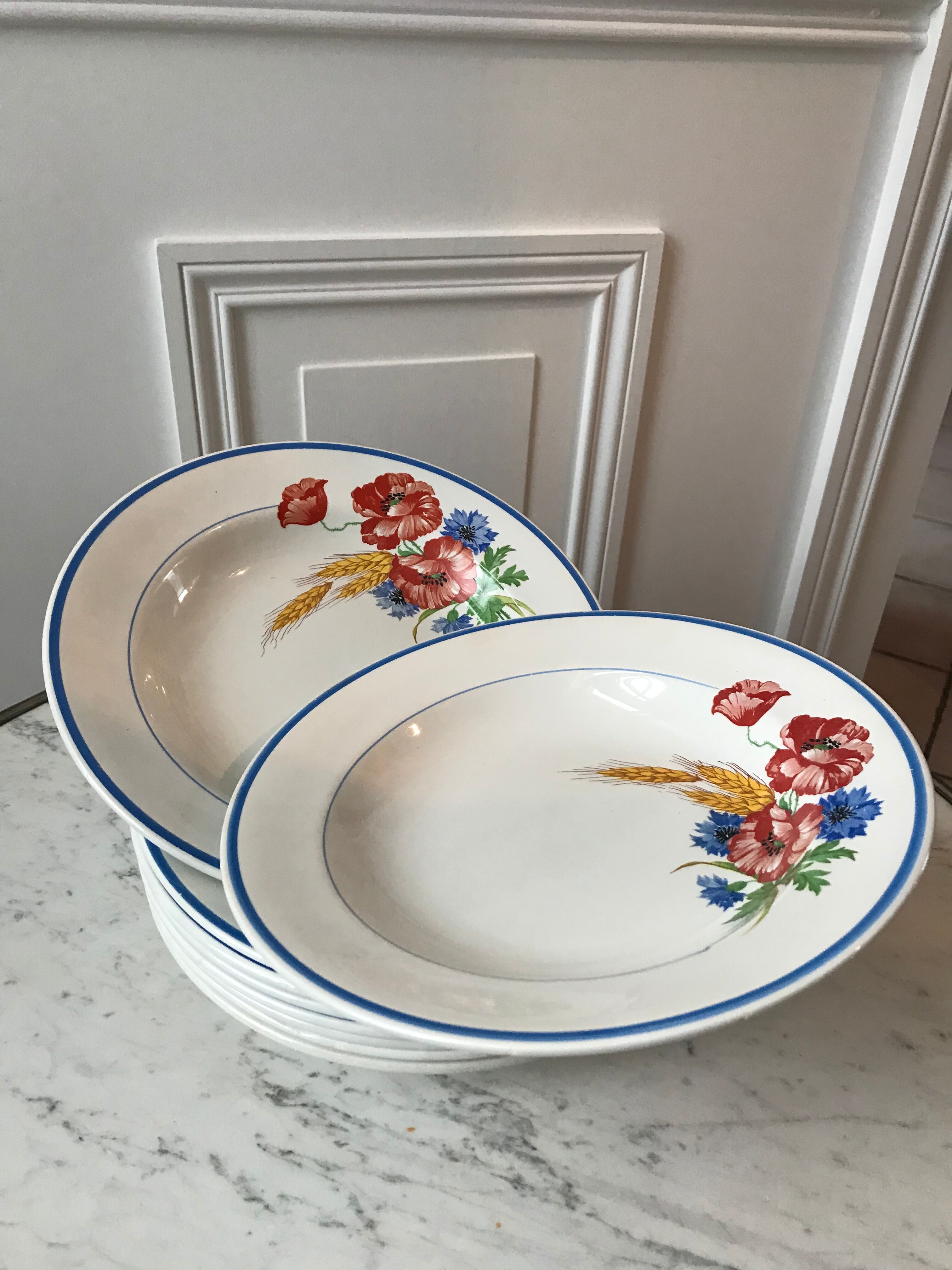 Lot of 8 hollow plates Salins model Champêtre