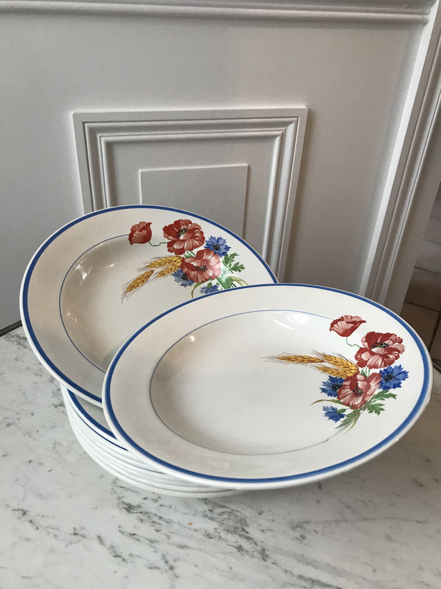 Lot of 8 hollow plates Salins model Champêtre