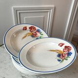 Lot of 8 hollow plates Salins model Champêtre