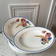 Lot of 8 hollow plates Salins model Champêtre