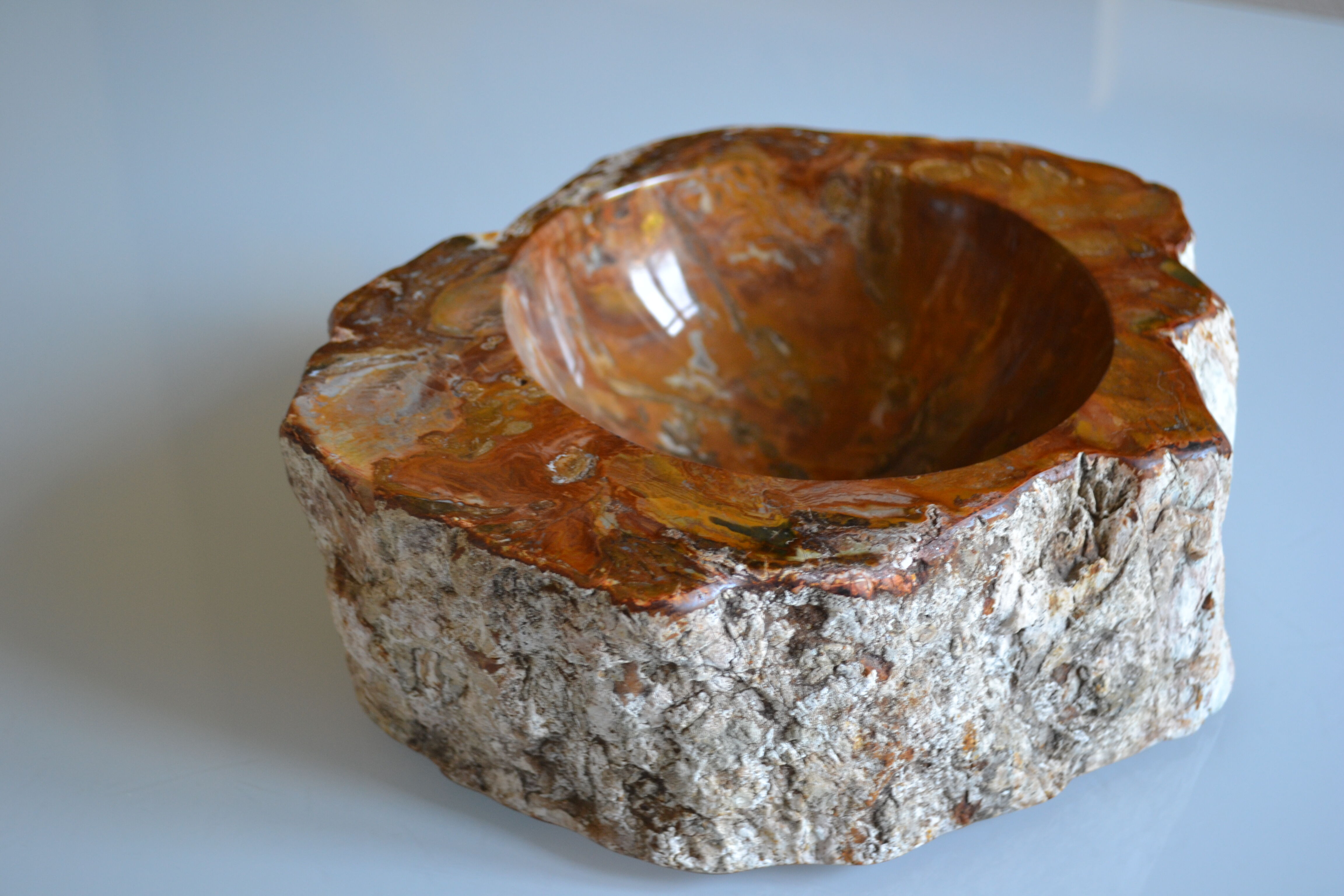 Empty pocket or ashtray in fossilized wood