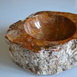 Empty pocket or ashtray in fossilized wood