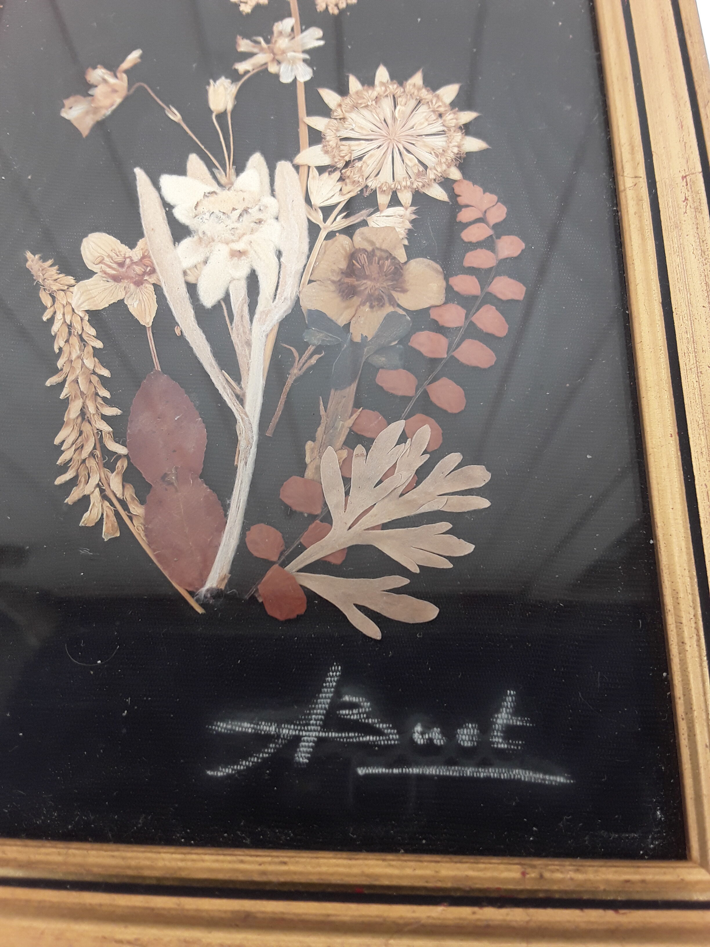 Painting dried flowers signed