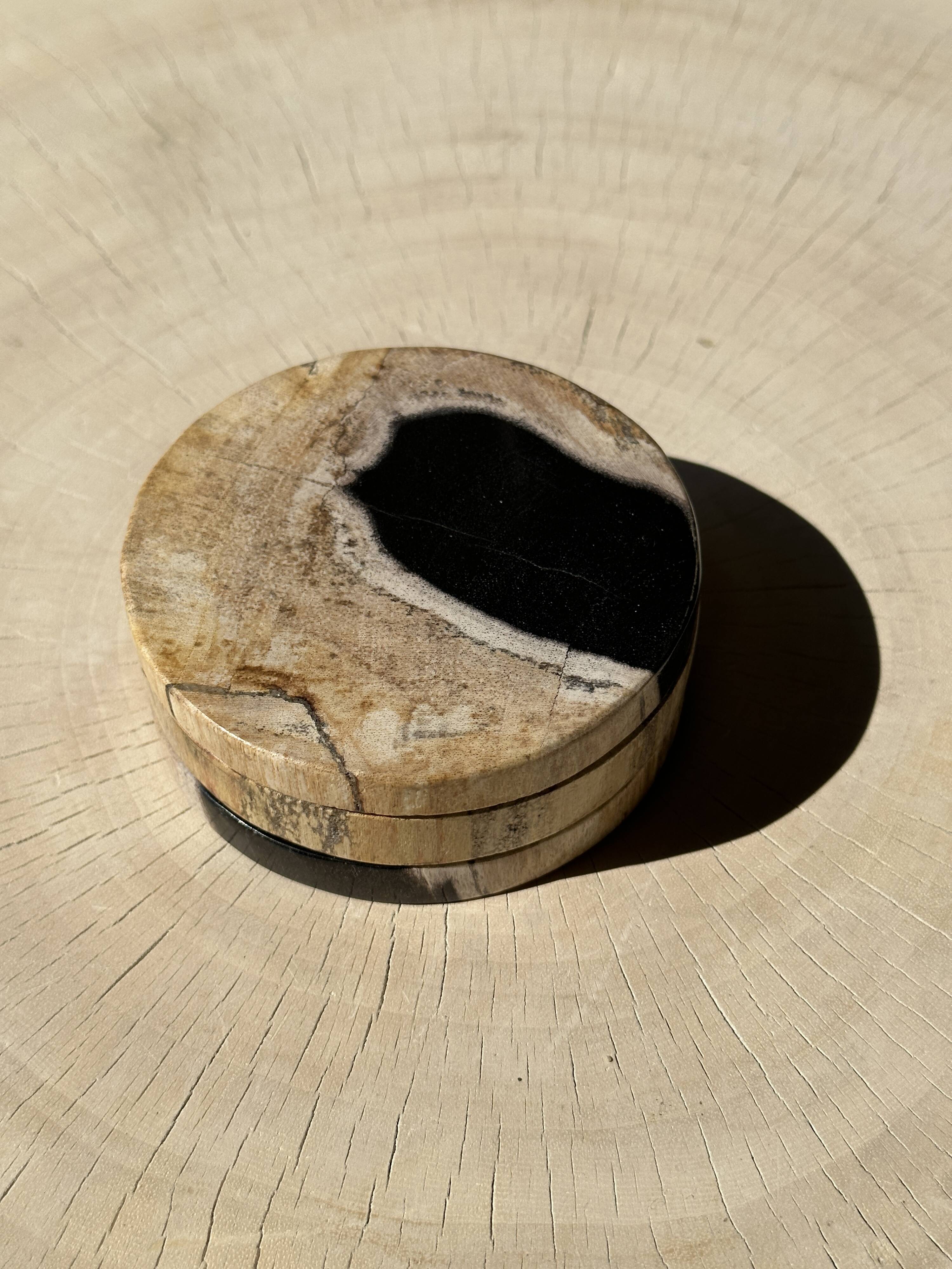 Set of 3 fossilized wood coasters (clear)