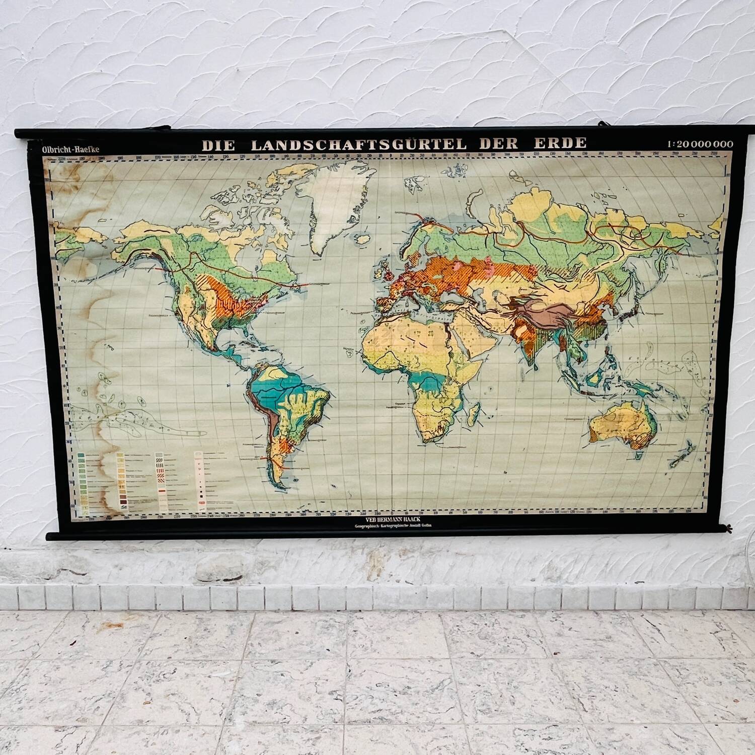 Educational map “the types of landscapes of the earth”