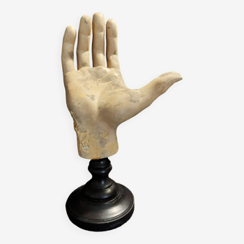 Cabinet of Curiosities hand on base