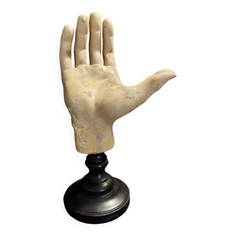 Cabinet of Curiosities hand on base