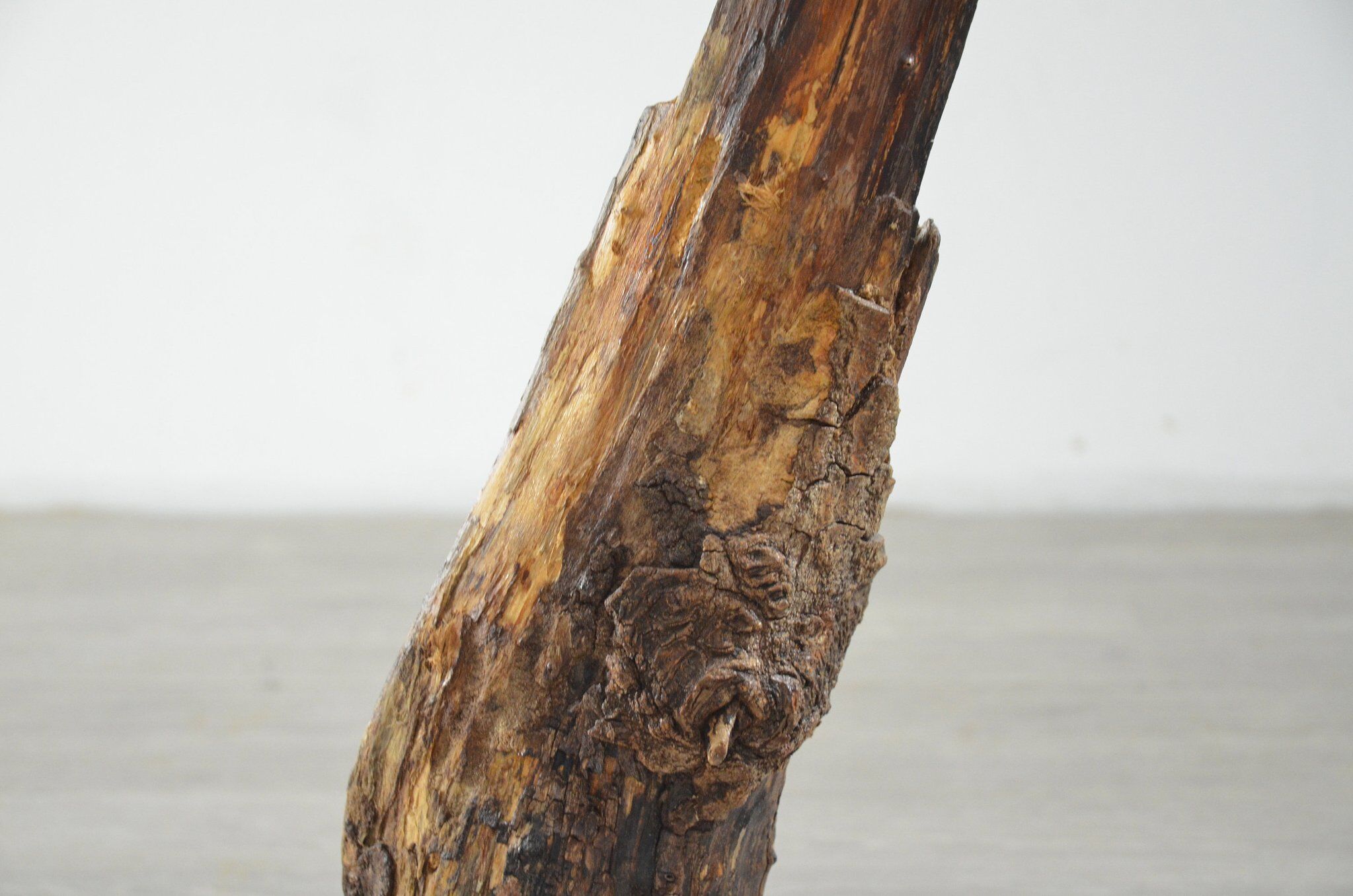 Organic wooden table lamp