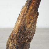 Organic wooden table lamp
