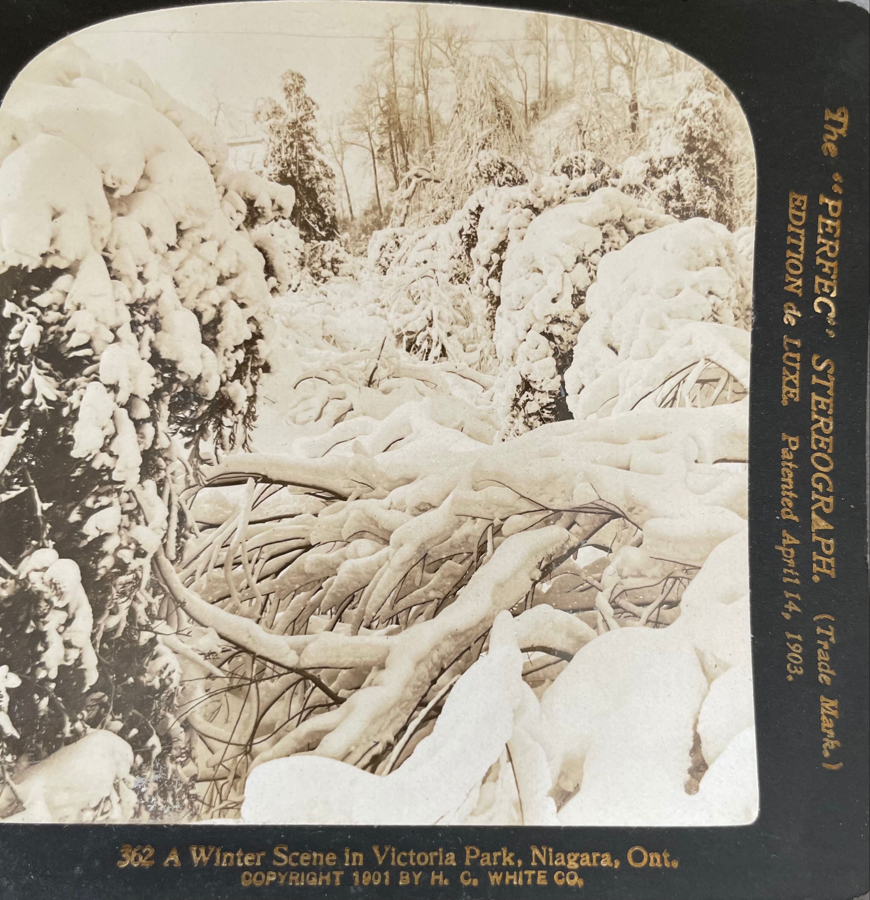 Antique photography, stereo, stereography, luxury albumine 1903 Ontario Canada