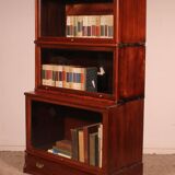 Globe Wernicke Library in Mahogany with 3 large elements and a projection.
