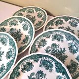 6 Villeroy and Boch dinner plates