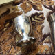 Silver-plated birth set