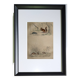 4 original zoological plates "Rat, Marten, Guinea Pig, Shrew,..."