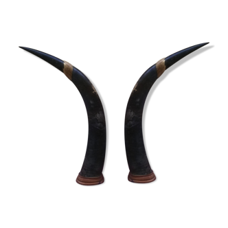 Pair of carved horns