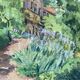 Aquarelle Maison aux Iris