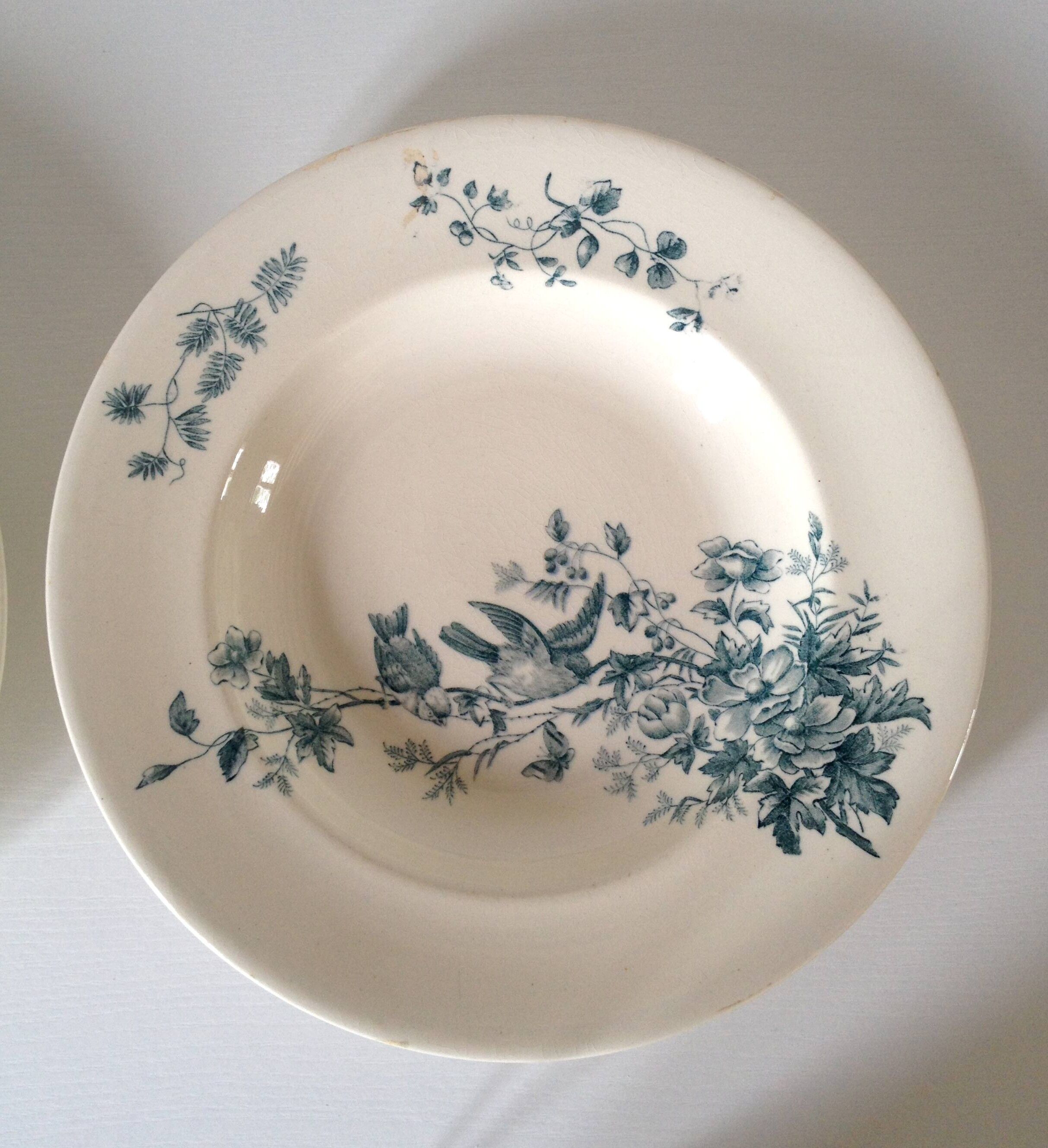 Two old plates longwy "cute" french faience