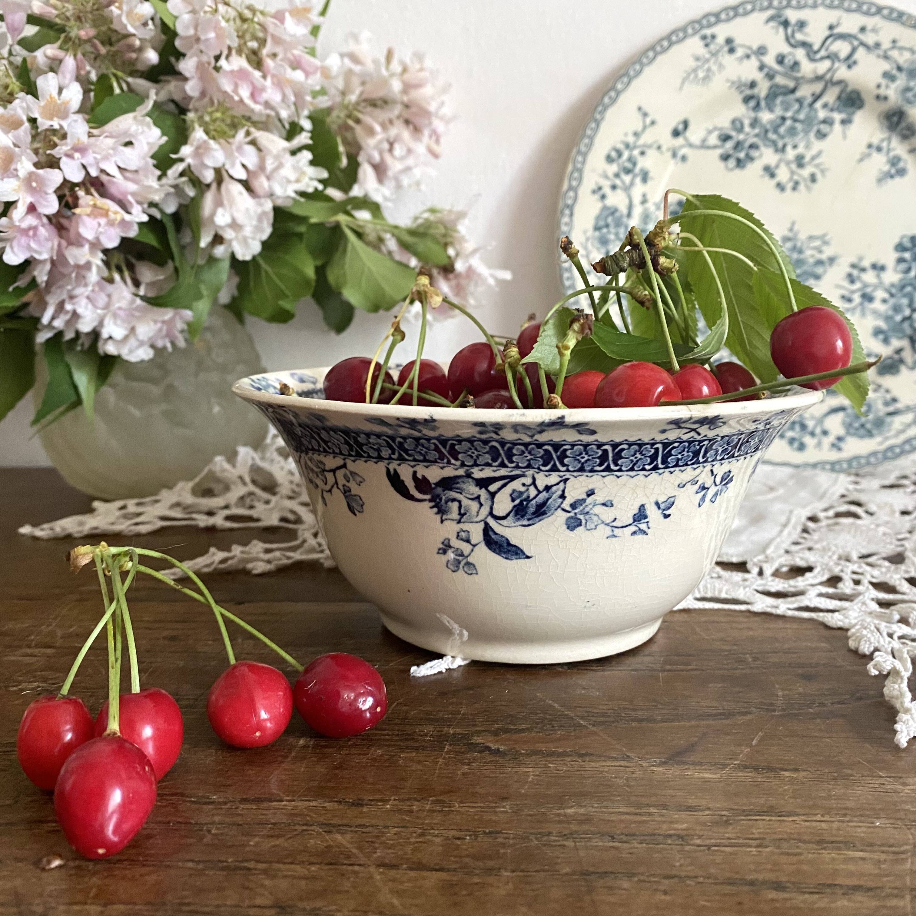 Gien Mireille ironstone bowl