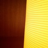 Rotaflex lamp