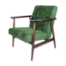 Vintage green chameleon easy chair, 1970s