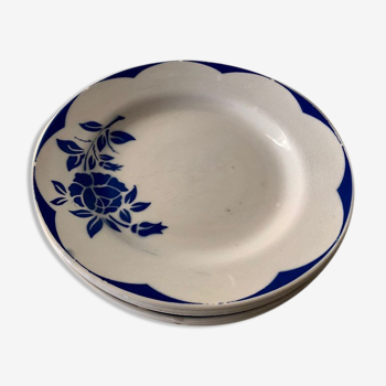 Corsica Digoin Flat Plate