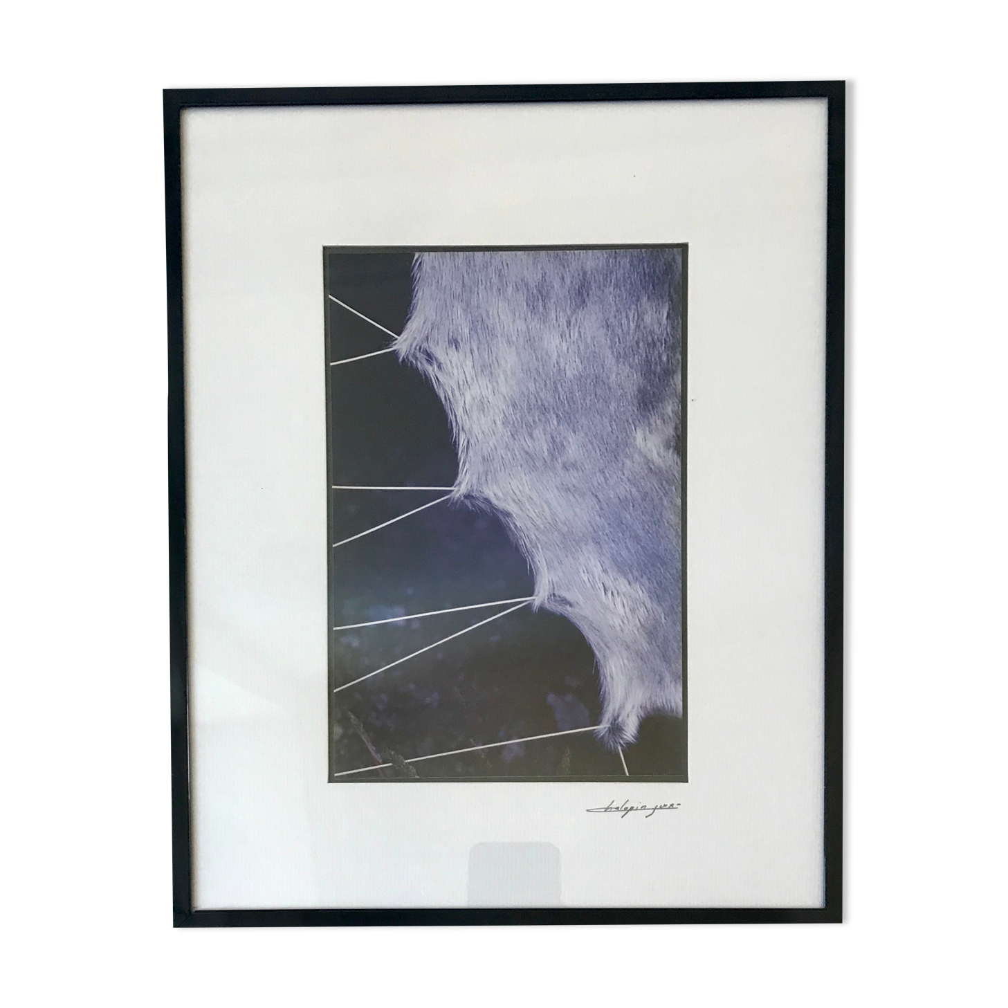 Vintage photograph illustration