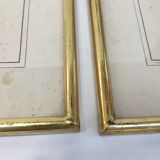 Pair of flower engravings by P.J. Redouté