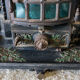 Cast iron stove Forges Fonderie Saint Nicolas brand Holiday Décor holly