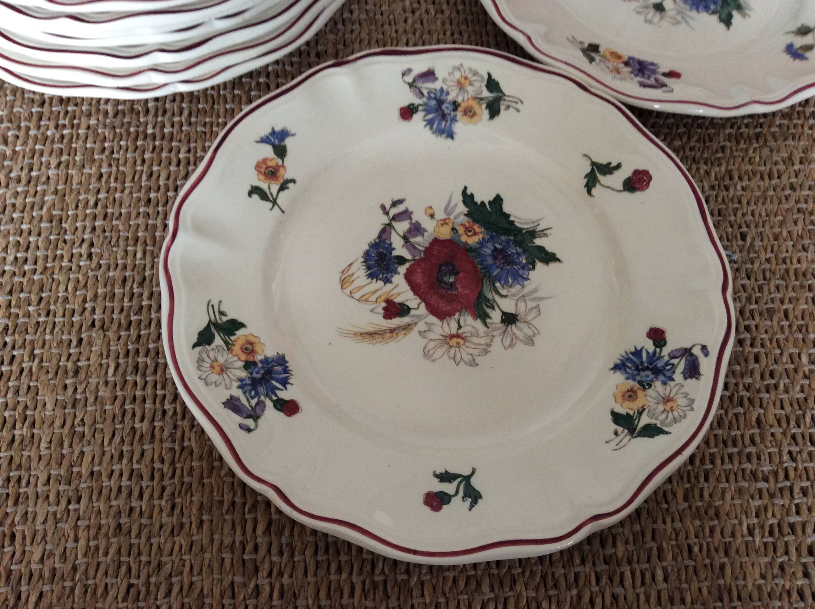 11 dinner plates