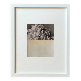 Flower - Collage original