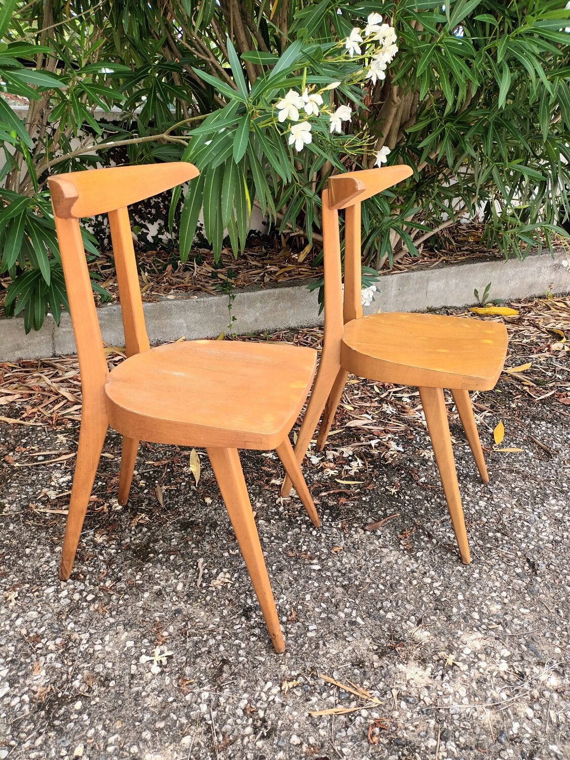 Antelope Chairs Stella Luterma