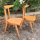 Chaises Antilope Stella Luterma