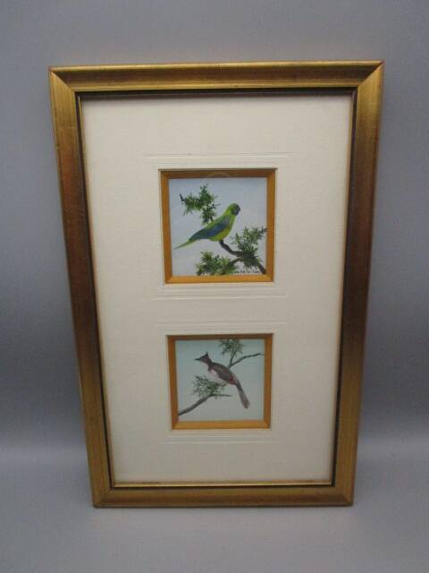 Frame 2 watercolors birds "S du Paty de Clam"