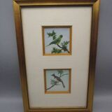 Frame 2 watercolors birds "S du Paty de Clam"