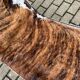 Originele Low numbered Cassina Le Corbusier Lc4 Pony skin