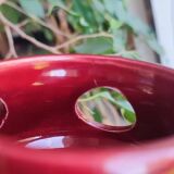 Longchamp France crocus pot