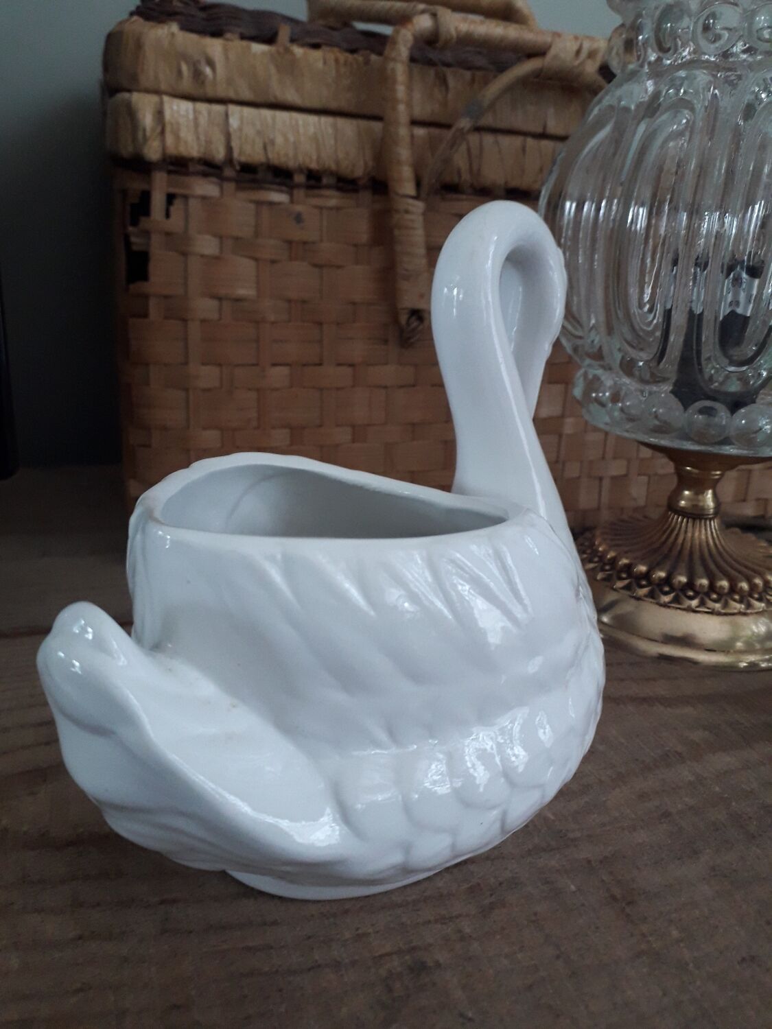 Swan plant pot