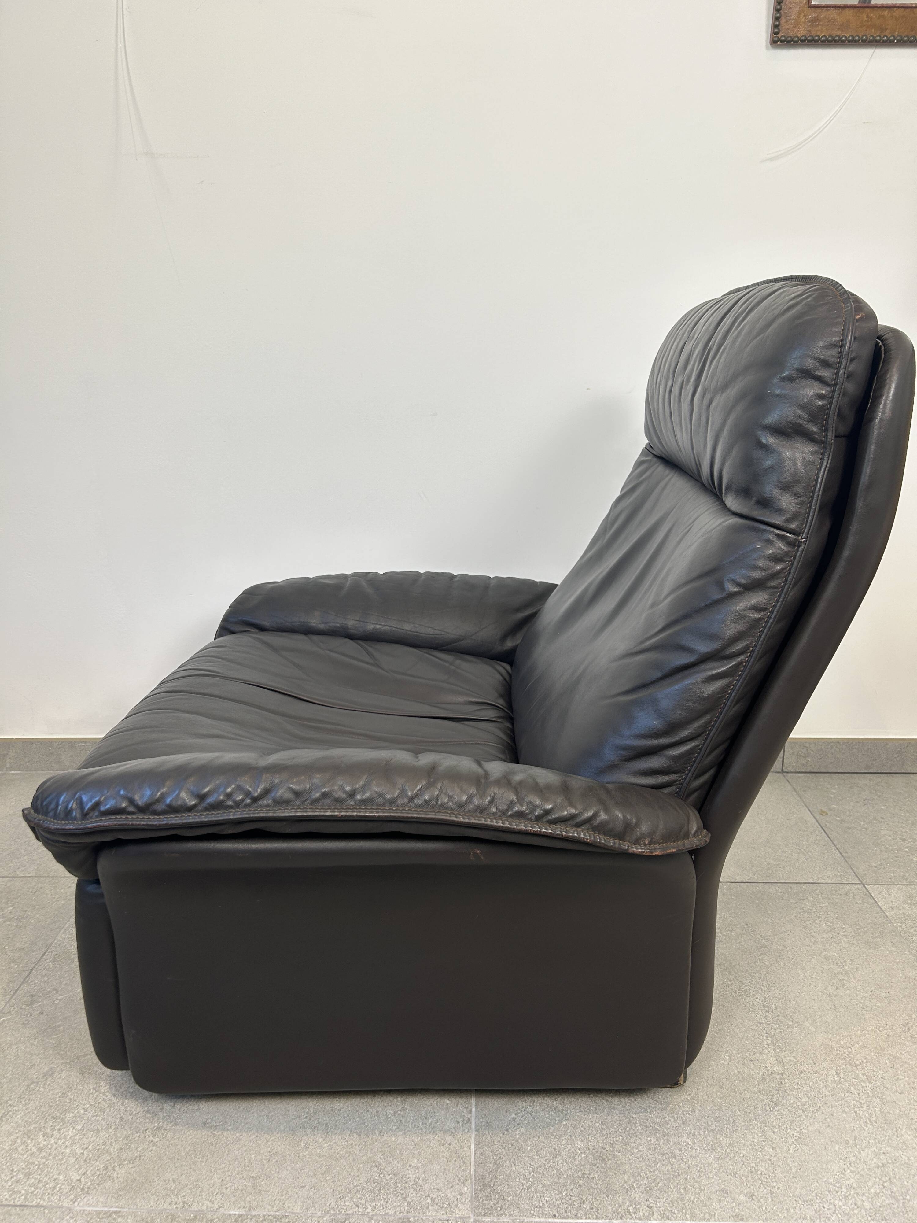 Fauteuil de Sede DS-49