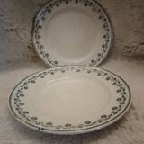 2 vintage Georgette dinner plates.