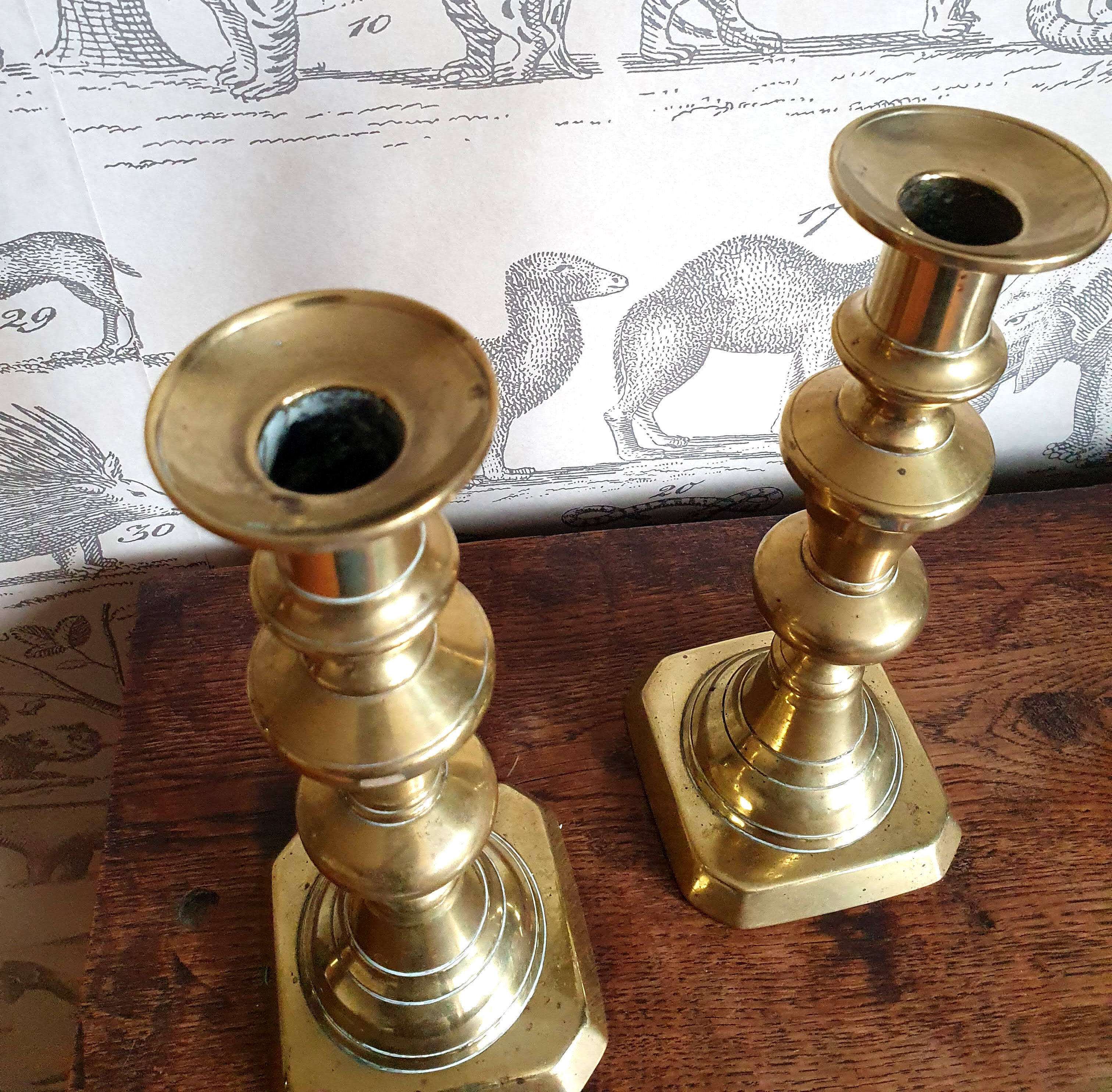 Duo of brass candle holders
