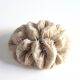 White coral, 70s