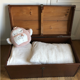 Ancient wooden and faux leather trunk