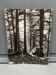Silver gelatin photograph by Bernard Darot AFIAP. Sun in the Vosges Forest