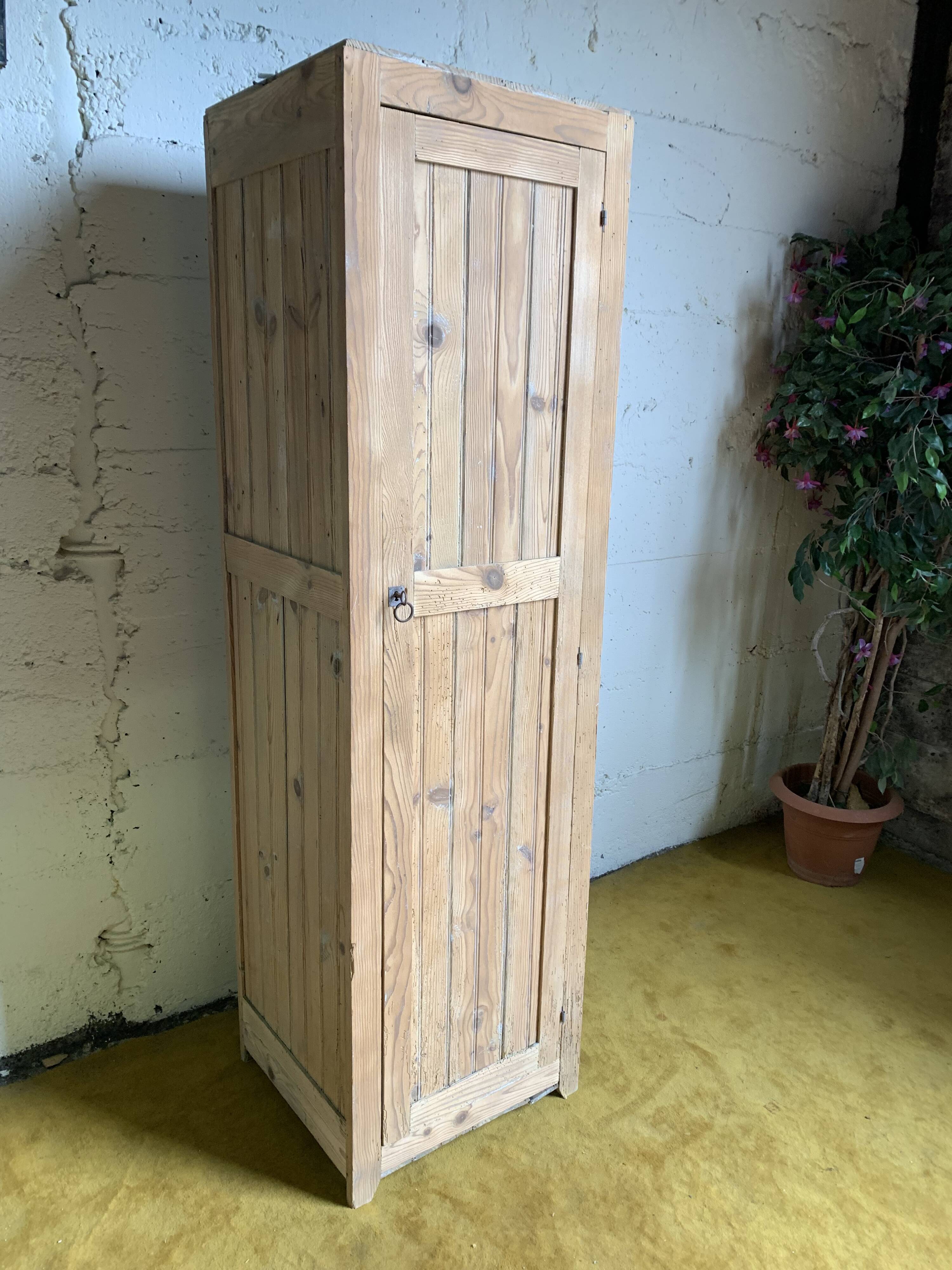 Wardrobe with 1 raw wood door