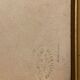 Gravure de botanique XIXème, type herbier