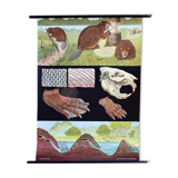 Poster wall of the school of Jung-Koch-Quentell "castor" 1972