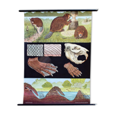 Affiche murale de l’école de Jung-Koch-Quentell  "castor" 1972