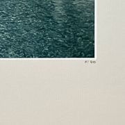 Photography by aarons slim, arturo pani's villa, publisher yellow korner